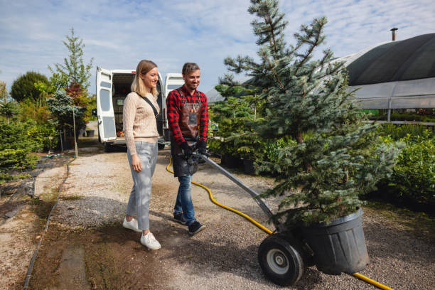 Best Emergency Storm Tree Removal  in Wimauma, FL